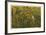 Reflections of Autumn-Donald Satterlee-Framed Giclee Print