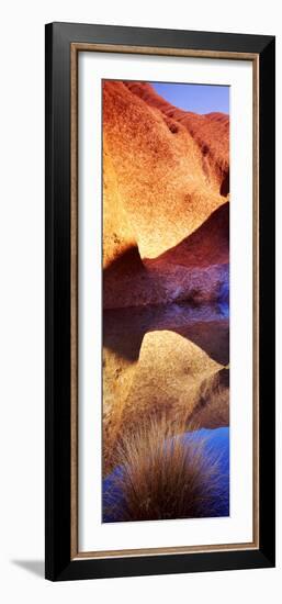 Reflections of Ayers Rock at Mutitjulu Waterhole, Uluru-Kata Tjuta National Park-null-Framed Photographic Print