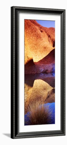 Reflections of Ayers Rock at Mutitjulu Waterhole, Uluru-Kata Tjuta National Park-null-Framed Photographic Print