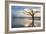 Reflections of Boneyard Beach-Danny Head-Framed Premium Giclee Print