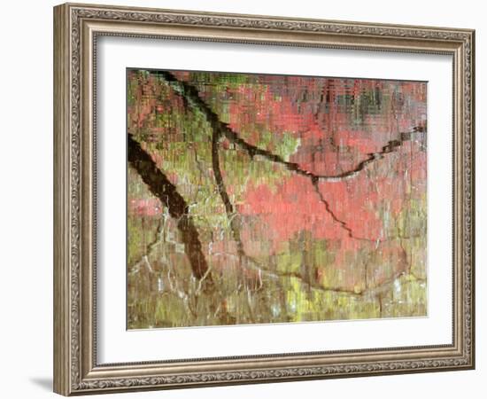 Reflections of Early Spring Buds in Pond, Callaway Gardens, Georgia, USA-Nancy Rotenberg-Framed Photographic Print