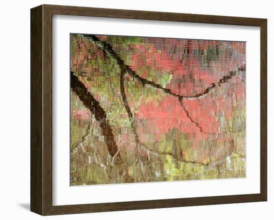 Reflections of Early Spring Buds in Pond, Callaway Gardens, Georgia, USA-Nancy Rotenberg-Framed Photographic Print