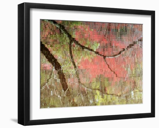 Reflections of Early Spring Buds in Pond, Callaway Gardens, Georgia, USA-Nancy Rotenberg-Framed Photographic Print