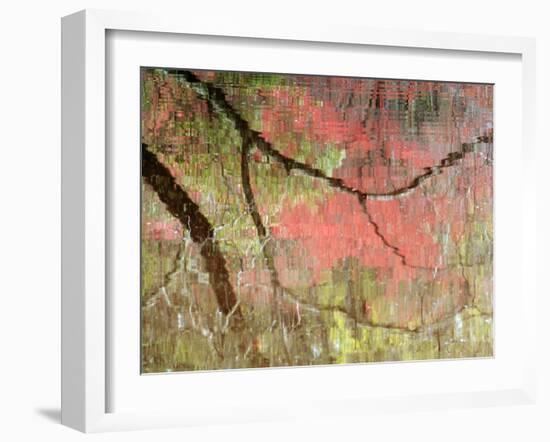 Reflections of Early Spring Buds in Pond, Callaway Gardens, Georgia, USA-Nancy Rotenberg-Framed Photographic Print