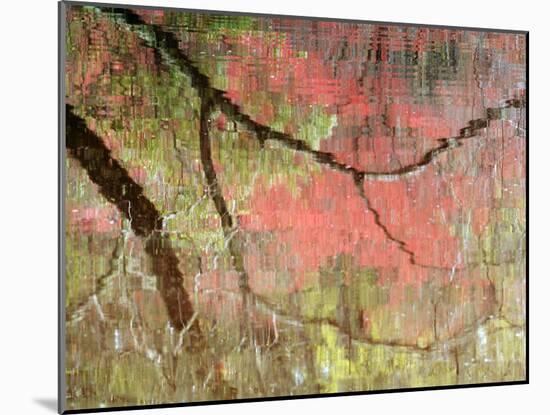 Reflections of Early Spring Buds in Pond, Callaway Gardens, Georgia, USA-Nancy Rotenberg-Mounted Photographic Print