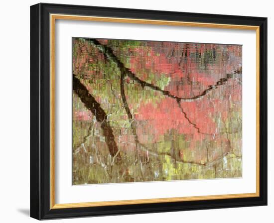 Reflections of Early Spring Buds in Pond, Callaway Gardens, Georgia, USA-Nancy Rotenberg-Framed Photographic Print