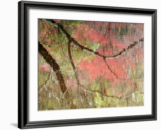 Reflections of Early Spring Buds in Pond, Callaway Gardens, Georgia, USA-Nancy Rotenberg-Framed Photographic Print