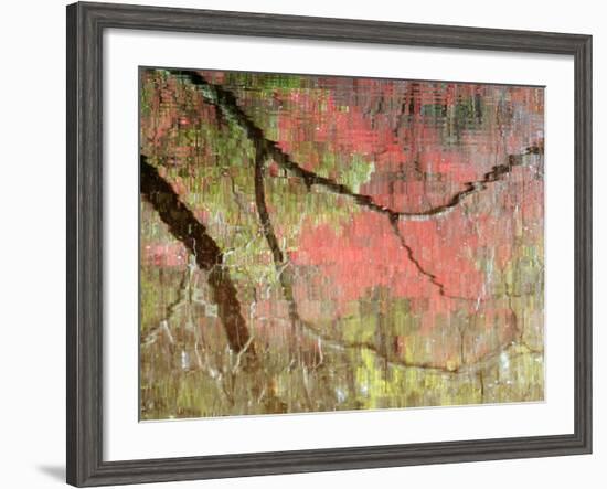 Reflections of Early Spring Buds in Pond, Callaway Gardens, Georgia, USA-Nancy Rotenberg-Framed Photographic Print