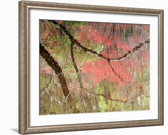 Reflections of Early Spring Buds in Pond, Callaway Gardens, Georgia, USA-Nancy Rotenberg-Framed Photographic Print