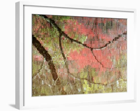 Reflections of Early Spring Buds in Pond, Callaway Gardens, Georgia, USA-Nancy Rotenberg-Framed Photographic Print