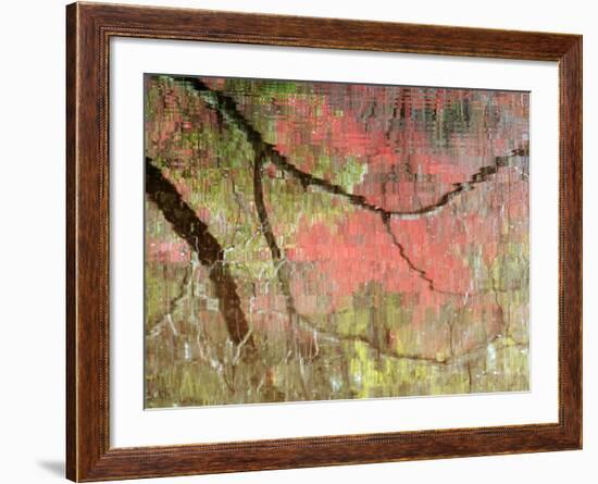 Reflections of Early Spring Buds in Pond, Callaway Gardens, Georgia, USA-Nancy Rotenberg-Framed Photographic Print