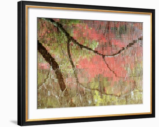 Reflections of Early Spring Buds in Pond, Callaway Gardens, Georgia, USA-Nancy Rotenberg-Framed Photographic Print