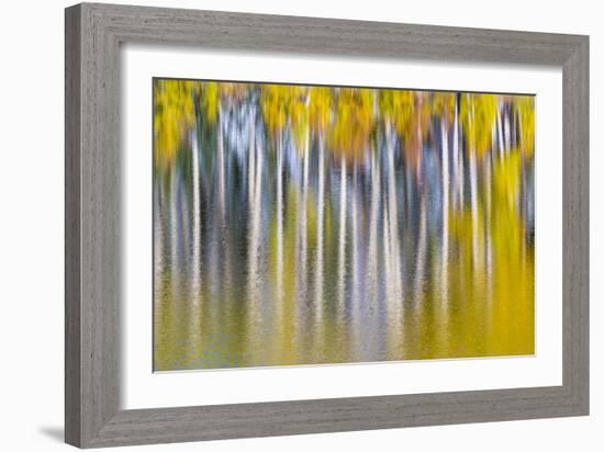 Reflections of Fall II-Kathy Mahan-Framed Photographic Print