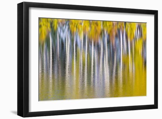 Reflections of Fall II-Kathy Mahan-Framed Photographic Print