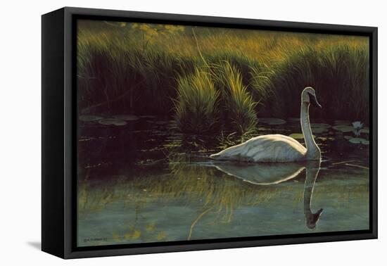 Reflections of Grace-Michael Budden-Framed Premier Image Canvas