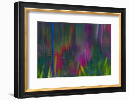 Reflections of leaves on the pond, this abstract pattern resulted.-Mallorie Ostrowitz-Framed Photographic Print