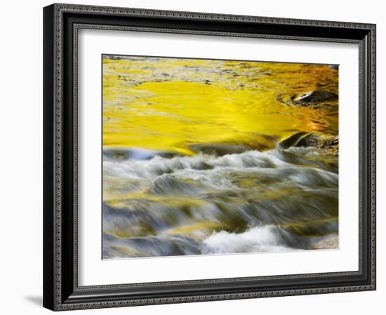 Reflections of Spring in Stream, Great Smoky Mountain National Park, Tennessee, USA-null-Framed Photographic Print