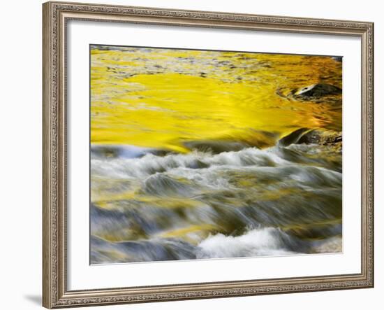 Reflections of Spring in Stream, Great Smoky Mountain National Park, Tennessee, USA-null-Framed Photographic Print