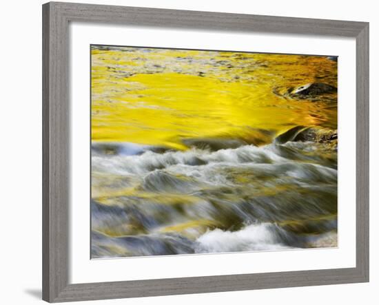 Reflections of Spring in Stream, Great Smoky Mountain National Park, Tennessee, USA-null-Framed Photographic Print