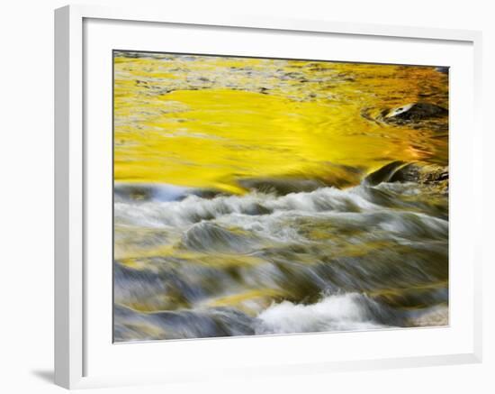 Reflections of Spring in Stream, Great Smoky Mountain National Park, Tennessee, USA-null-Framed Photographic Print