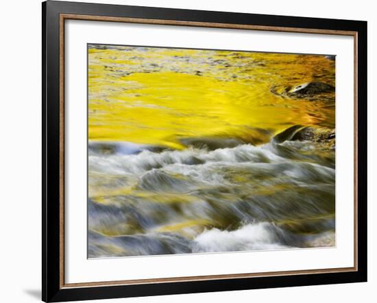 Reflections of Spring in Stream, Great Smoky Mountain National Park, Tennessee, USA-null-Framed Photographic Print