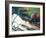 Reflections of Spring-Kevin Dodds-Framed Giclee Print