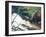 Reflections of Spring-Kevin Dodds-Framed Giclee Print