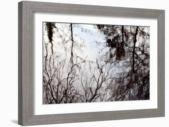 Reflections of Trees in Water-Mark Sunderland-Framed Photographic Print