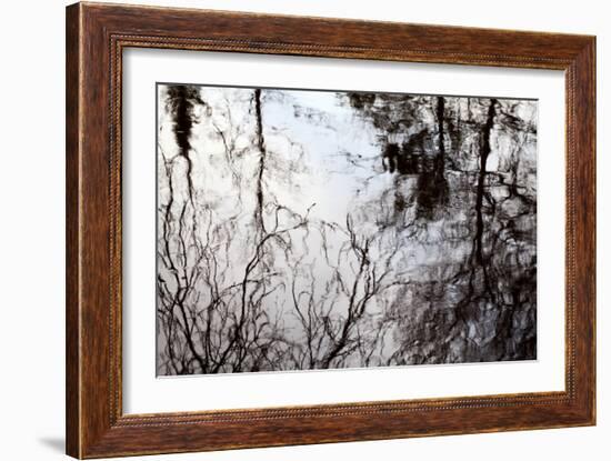 Reflections of Trees in Water-Mark Sunderland-Framed Photographic Print