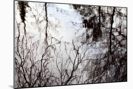 Reflections of Trees in Water-Mark Sunderland-Mounted Photographic Print