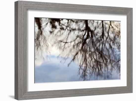 Reflections of Trees in Water-Mark Sunderland-Framed Photographic Print