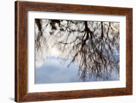 Reflections of Trees in Water-Mark Sunderland-Framed Photographic Print