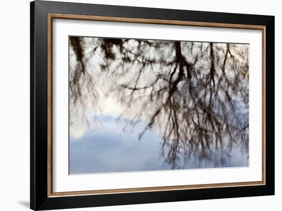 Reflections of Trees in Water-Mark Sunderland-Framed Photographic Print