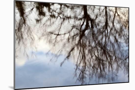 Reflections of Trees in Water-Mark Sunderland-Mounted Photographic Print