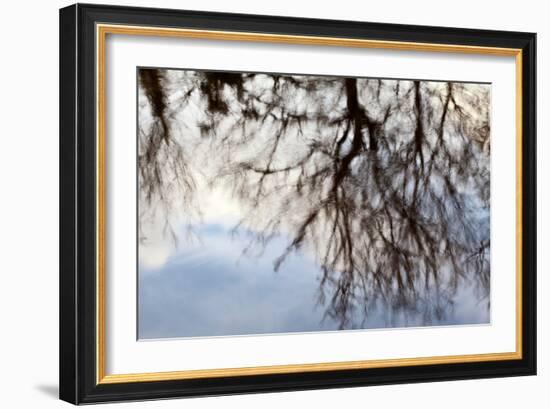 Reflections of Trees in Water-Mark Sunderland-Framed Photographic Print