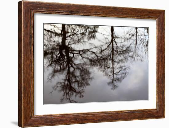 Reflections of Trees in Water-Mark Sunderland-Framed Photographic Print