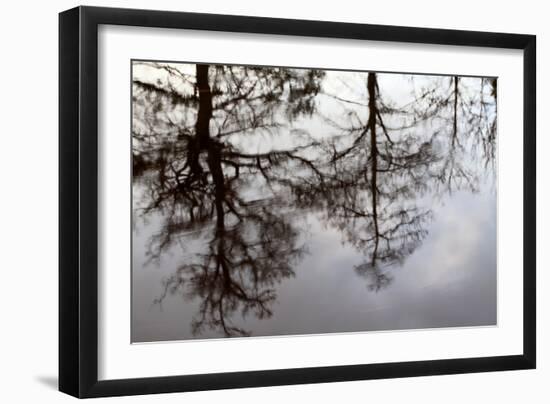 Reflections of Trees in Water-Mark Sunderland-Framed Photographic Print