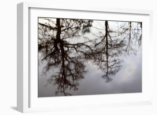 Reflections of Trees in Water-Mark Sunderland-Framed Photographic Print