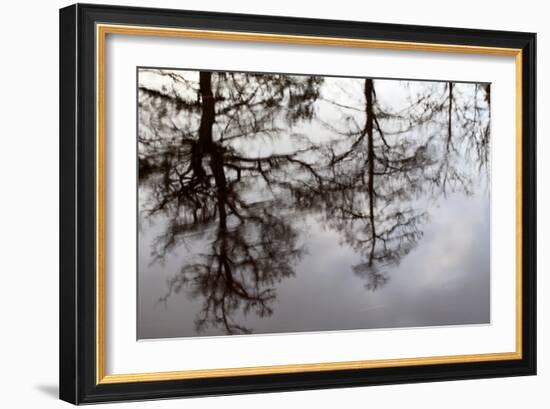 Reflections of Trees in Water-Mark Sunderland-Framed Photographic Print