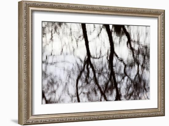 Reflections of Trees in Water-Mark Sunderland-Framed Photographic Print