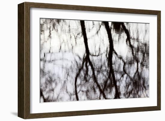 Reflections of Trees in Water-Mark Sunderland-Framed Photographic Print