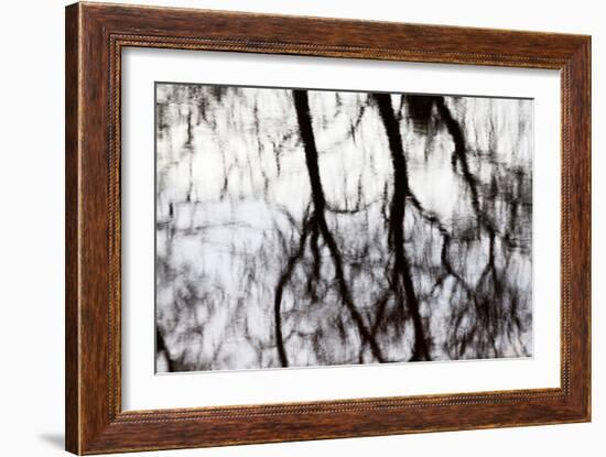 Reflections of Trees in Water-Mark Sunderland-Framed Photographic Print