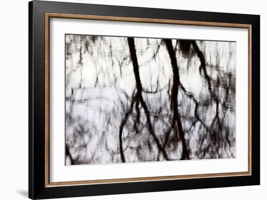 Reflections of Trees in Water-Mark Sunderland-Framed Photographic Print