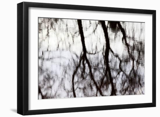 Reflections of Trees in Water-Mark Sunderland-Framed Photographic Print