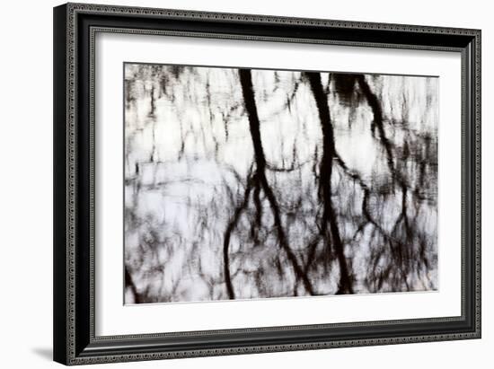 Reflections of Trees in Water-Mark Sunderland-Framed Photographic Print