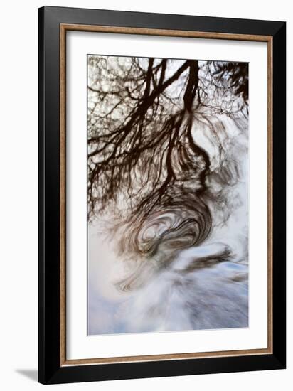 Reflections of Trees in Water-Mark Sunderland-Framed Photographic Print