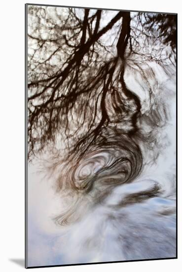 Reflections of Trees in Water-Mark Sunderland-Mounted Photographic Print