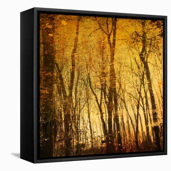 Reflections of Trees in Water-Trigger Image-Framed Premier Image Canvas