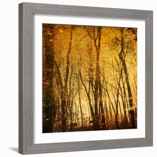 Reflections of Trees in Water-Trigger Image-Framed Photographic Print