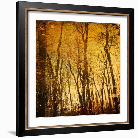 Reflections of Trees in Water-Trigger Image-Framed Photographic Print